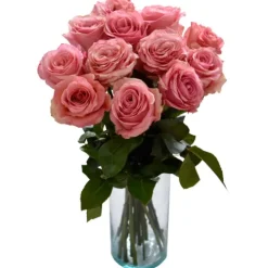 12 Stem Roses^Lidl Hot