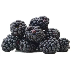 Blackberries^Lidl Discount