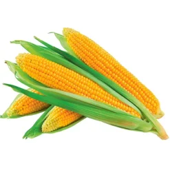 Corn, 4 Pack^Lidl Hot