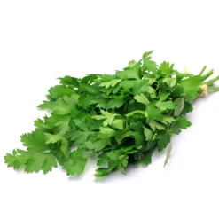 Italian Parsley^Lidl Outlet