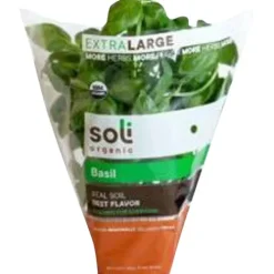 Organic Potted Basil^Lidl